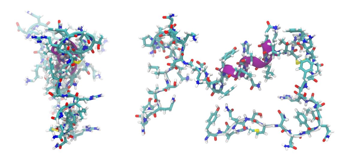 what-you-should-know-about-peptides-diet-fitness-for-all